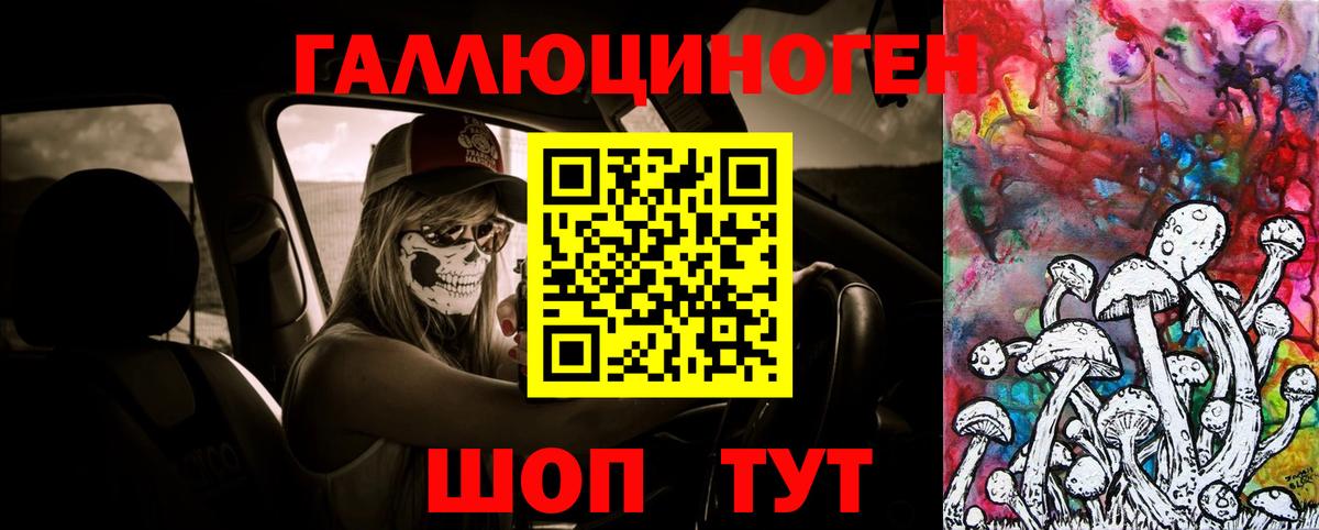 Псилоцибиновые грибы GOLDEN TEACHER Кандалакша