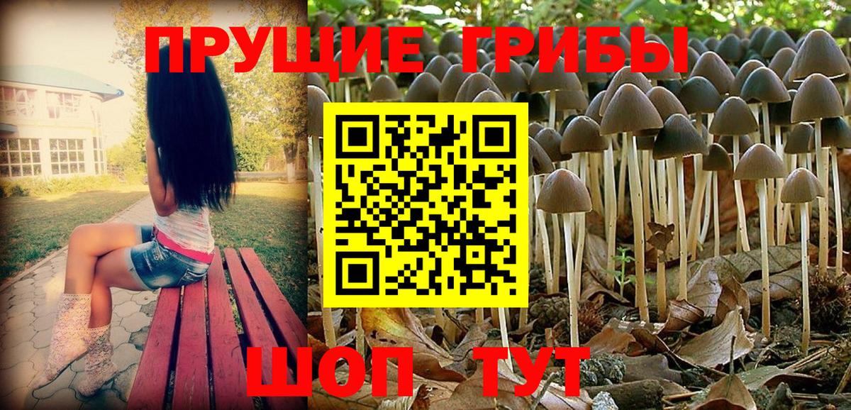 Кандалакша  Галлюциногенные грибы MAGIC MUSHROOMS  Вход с VPN 